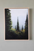 "Through The Trees" Framed Canvas
