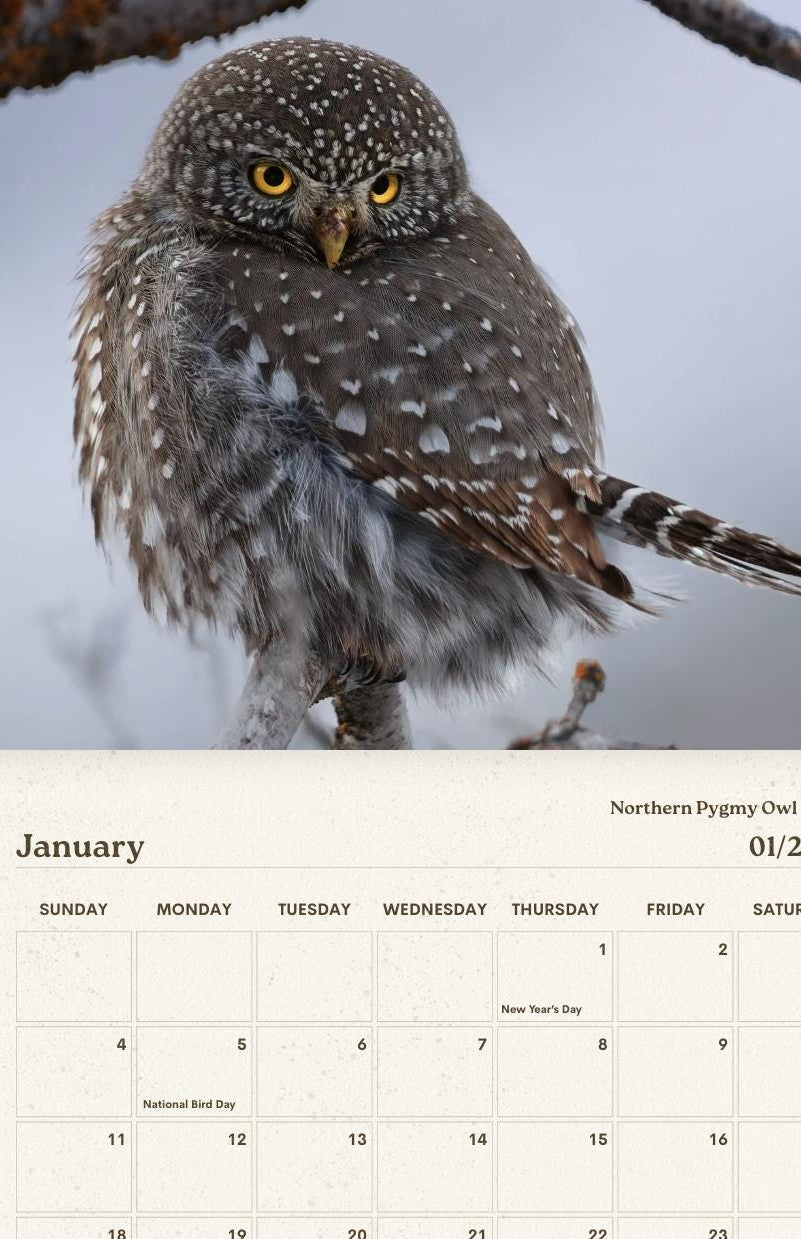 Owls of the American West 2026 Calendar