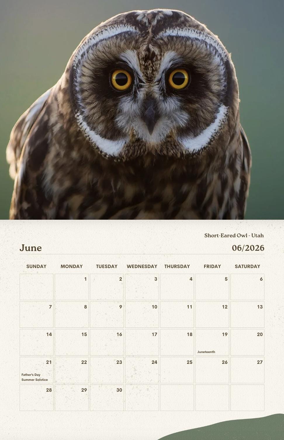 Owls of the American West 2026 Calendar