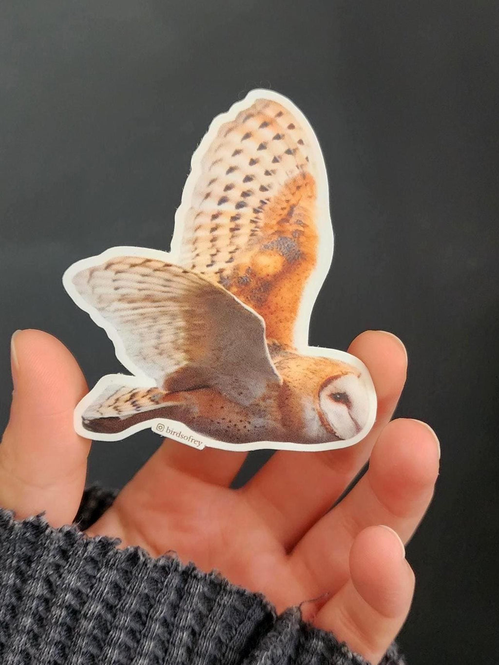 Barn Owl In Flight Sticker