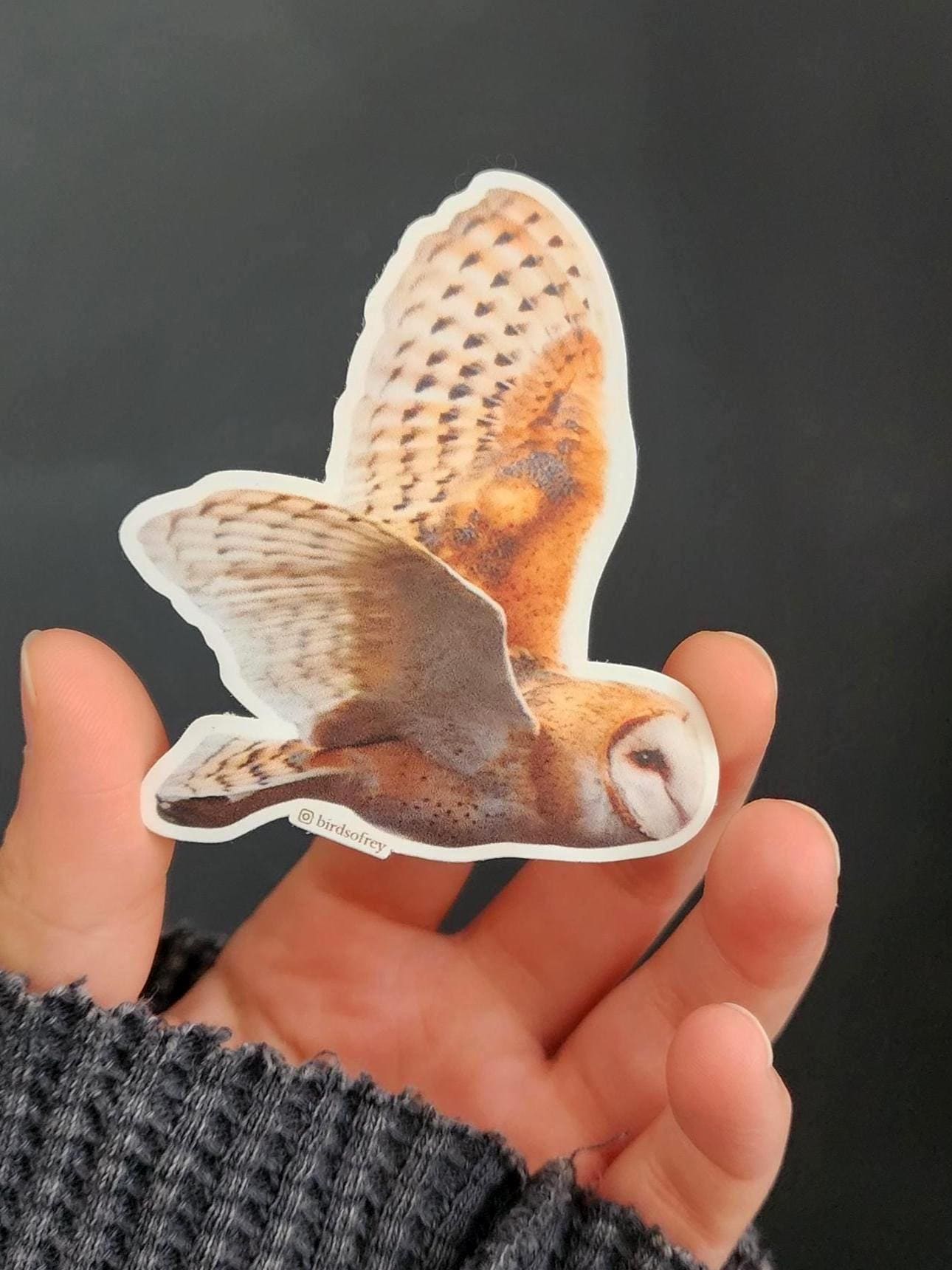 Barn Owl In Flight Sticker