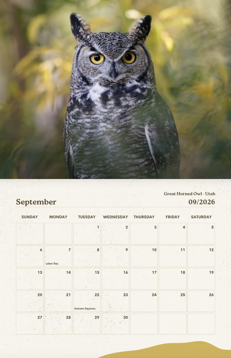 Owls of the American West 2026 Calendar