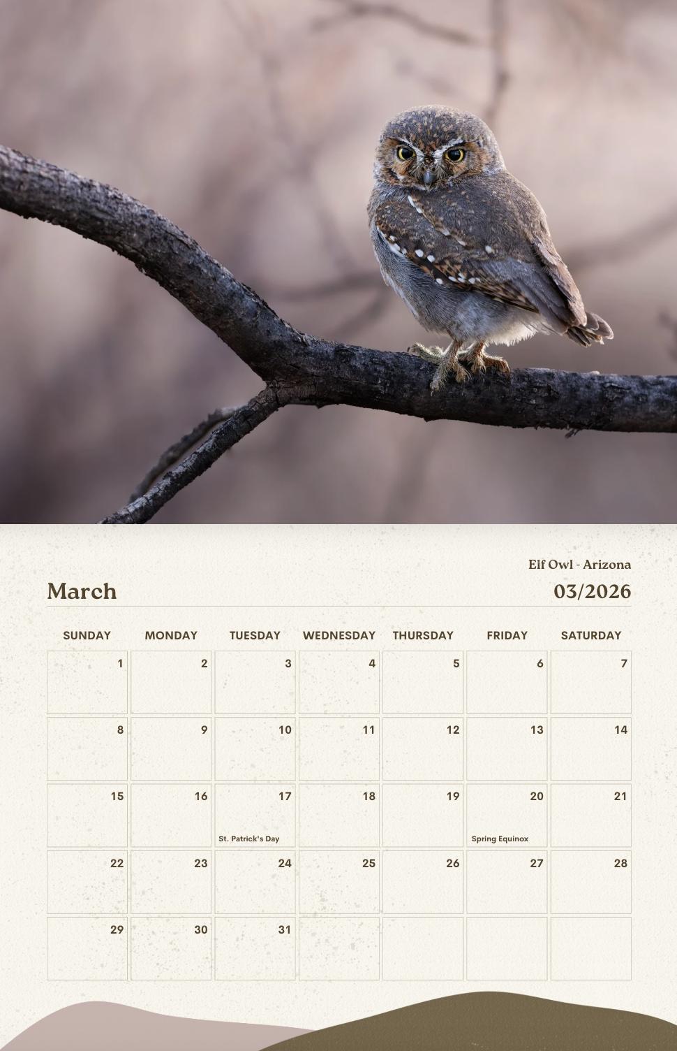 Owls of the American West 2026 Calendar