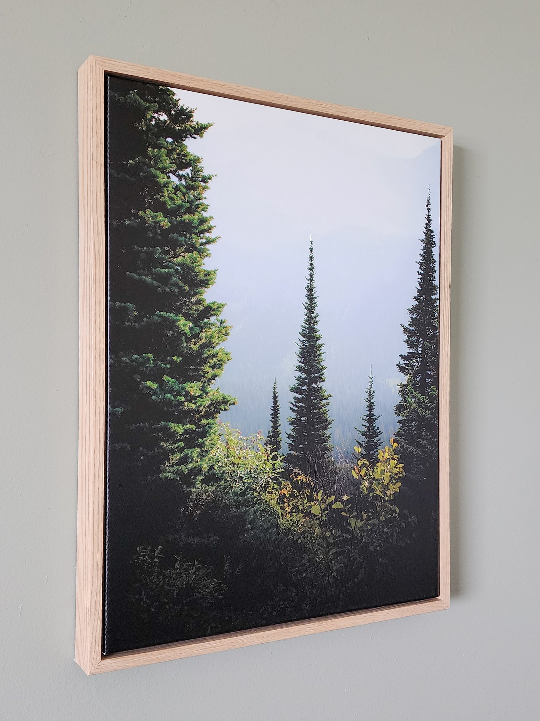 "Through The Trees" Framed Canvas