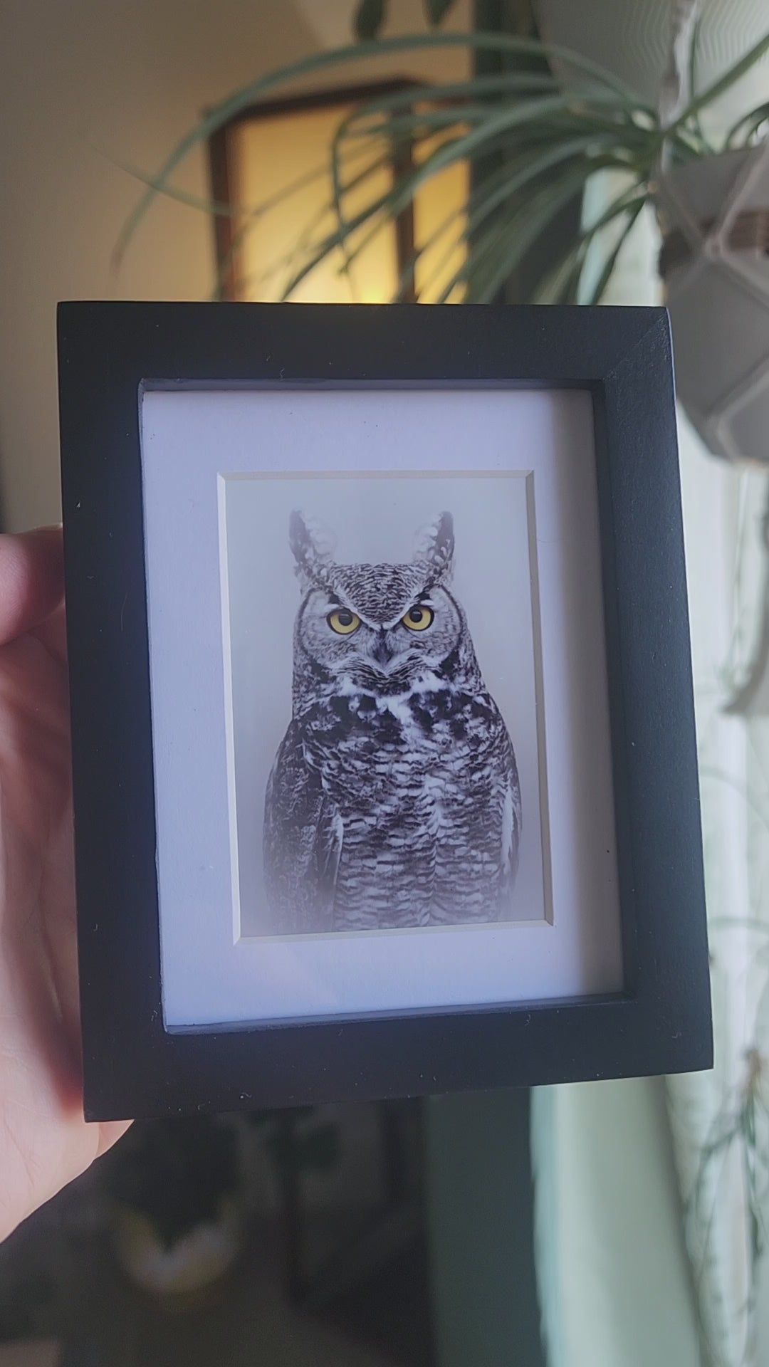 Great Horned Owl Framed Mini Print