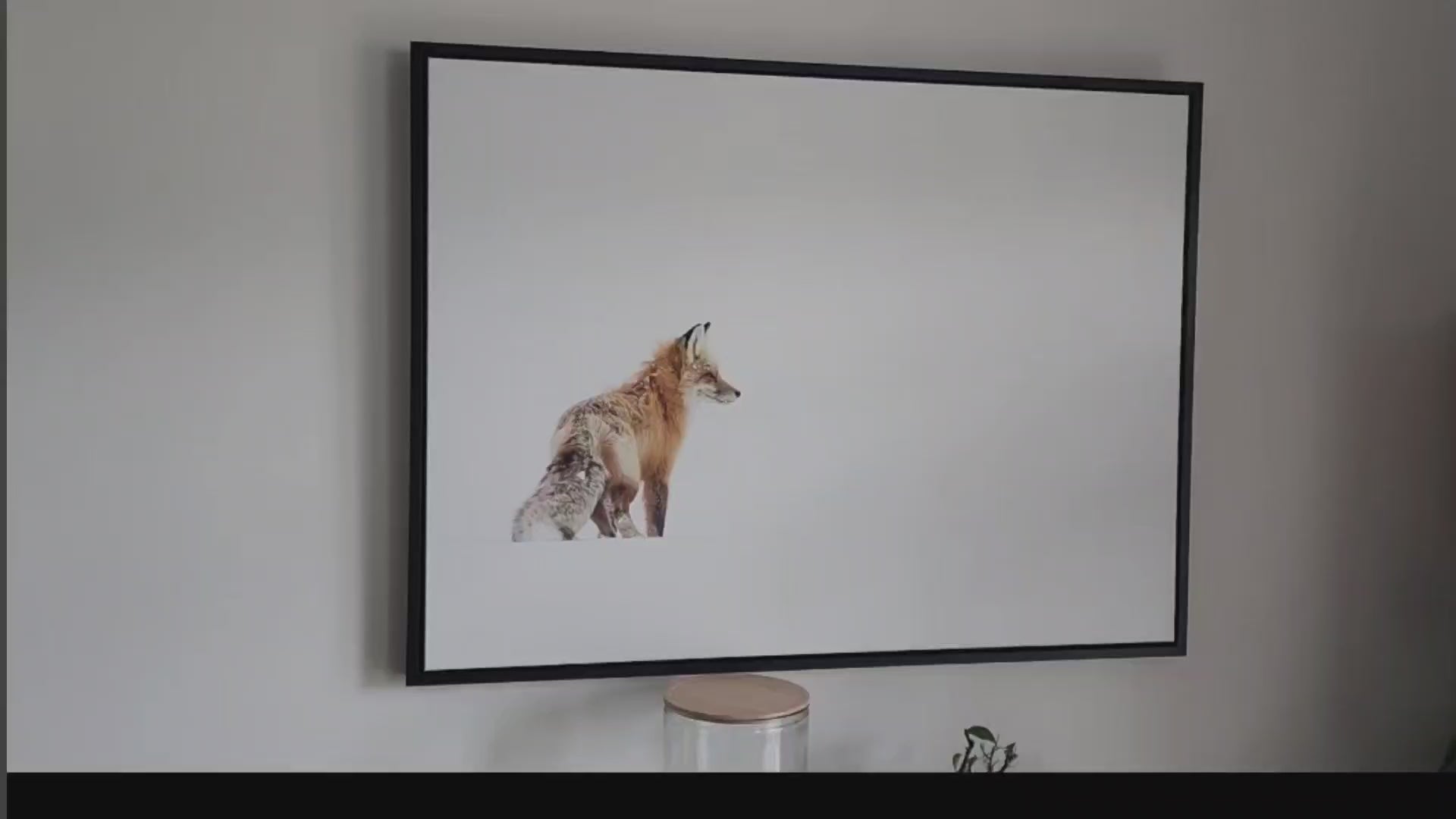 Red Fox in Yellowstone 40x30 Framed Canvas Print