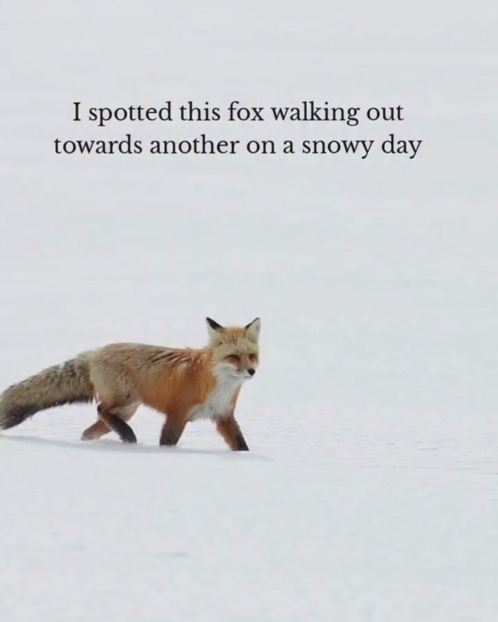 "Way Out" 40x30 Framed Canvas Print