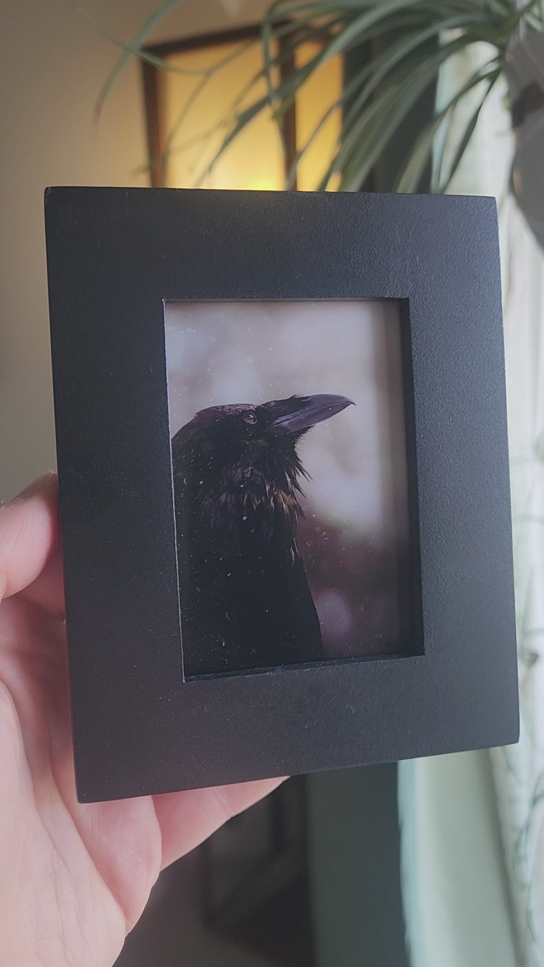 Wild Raven Framed Mini Print