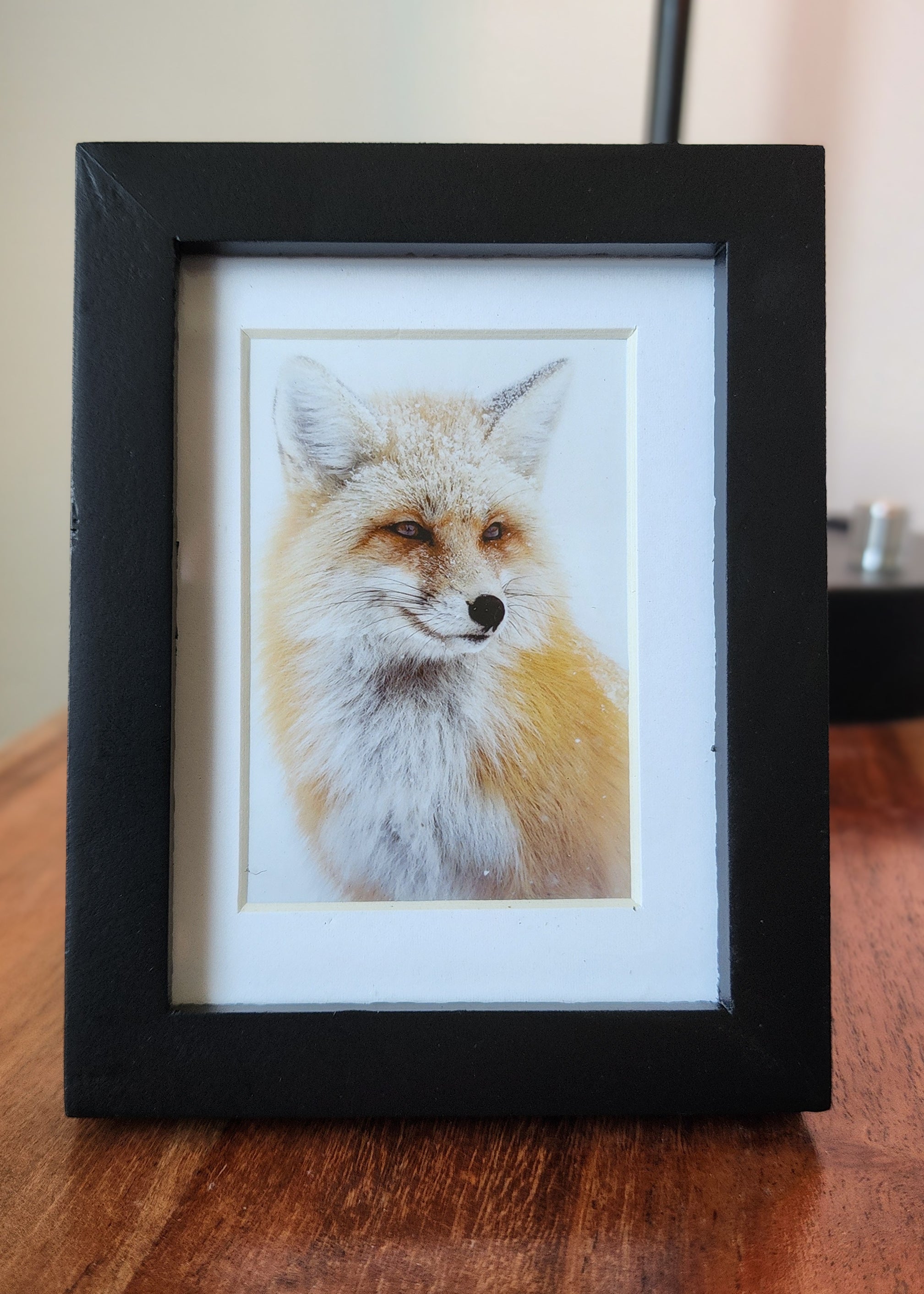 Red Fox Framed Mini Print