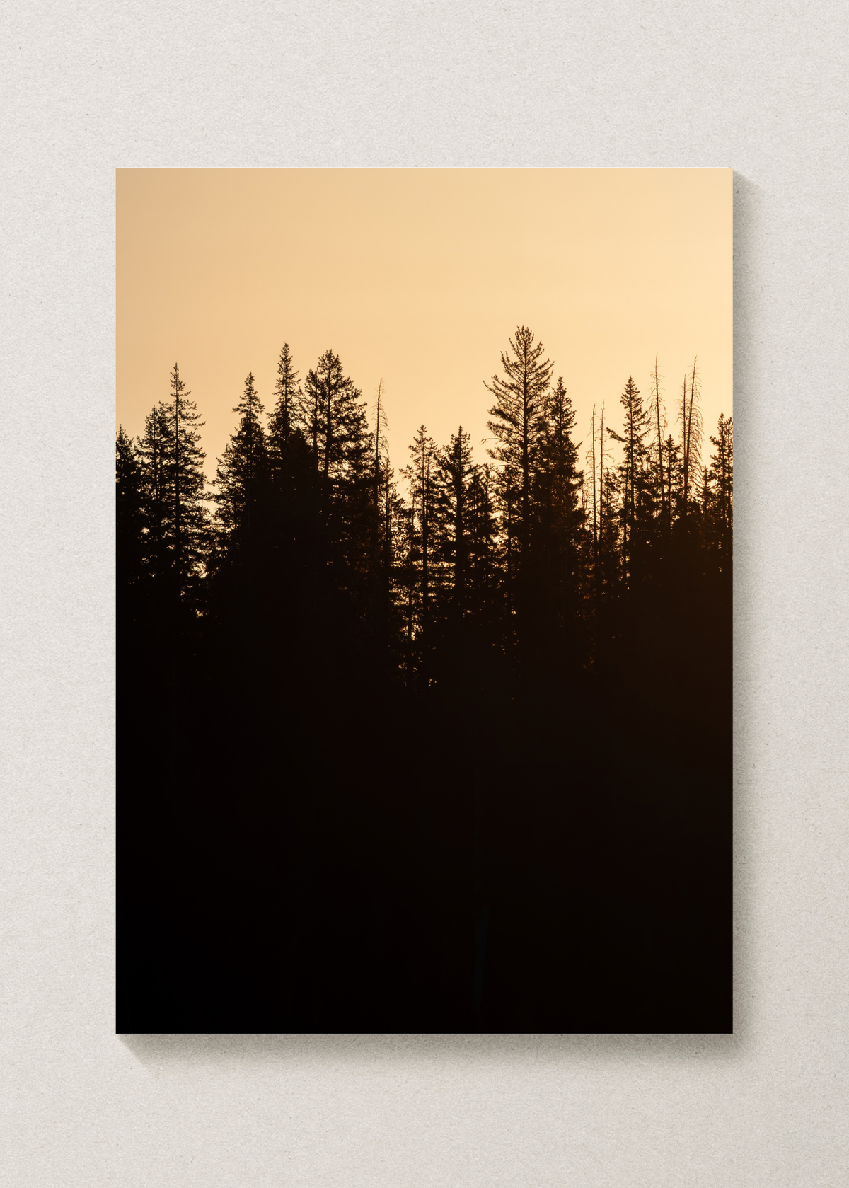 Yellowstone Sunrise Print