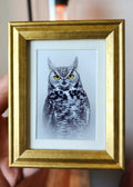 Great Horned Owl Framed Mini Print