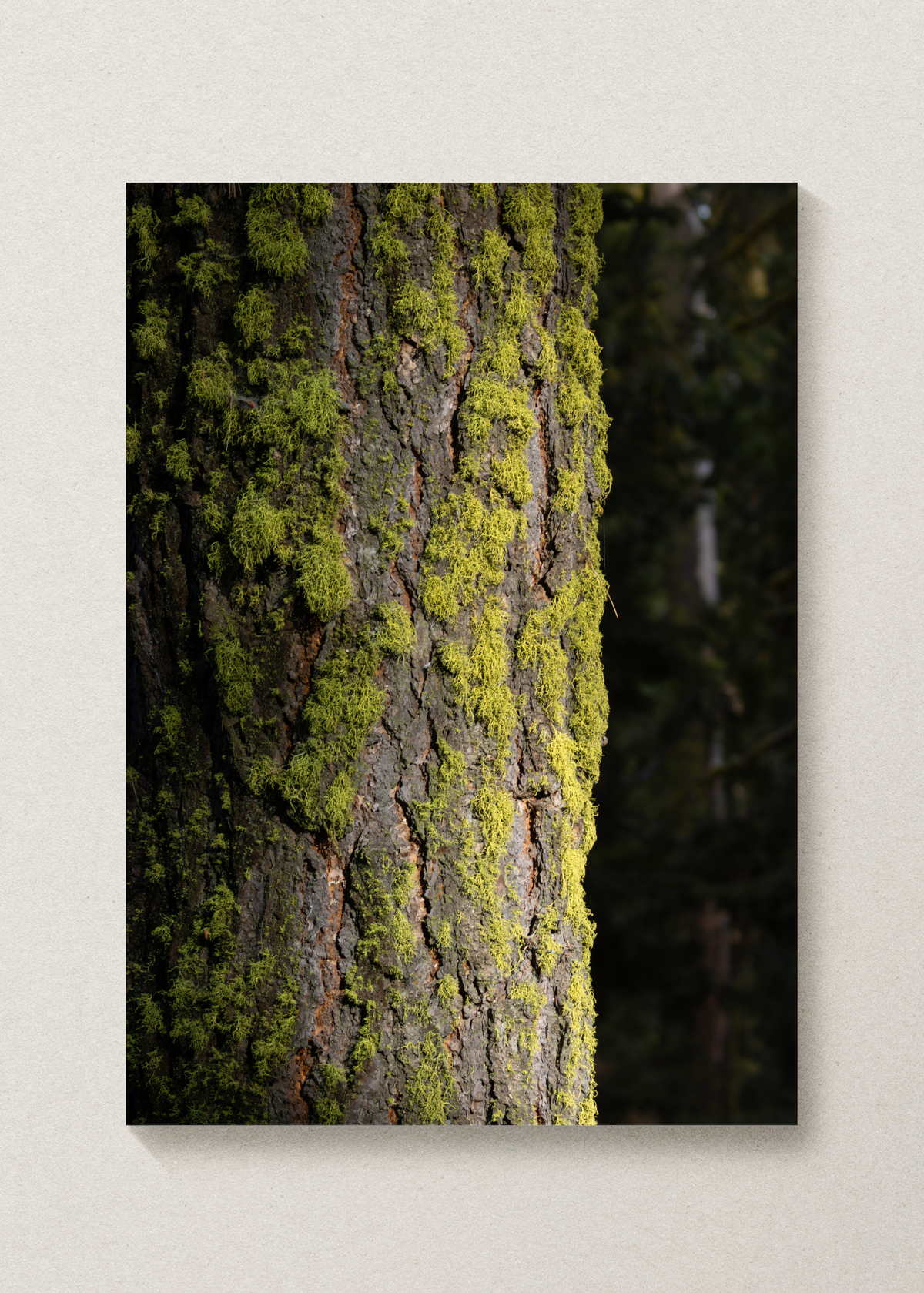 Mossy Tree Print