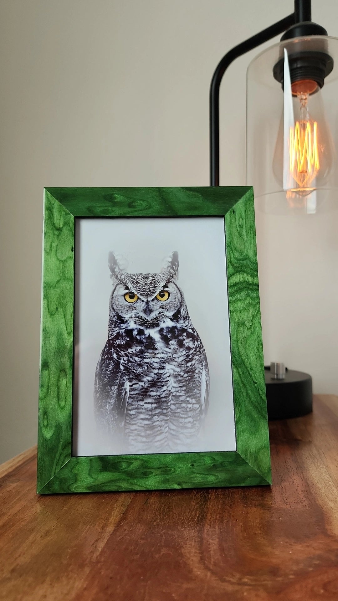 Great Horned Owl Framed Print