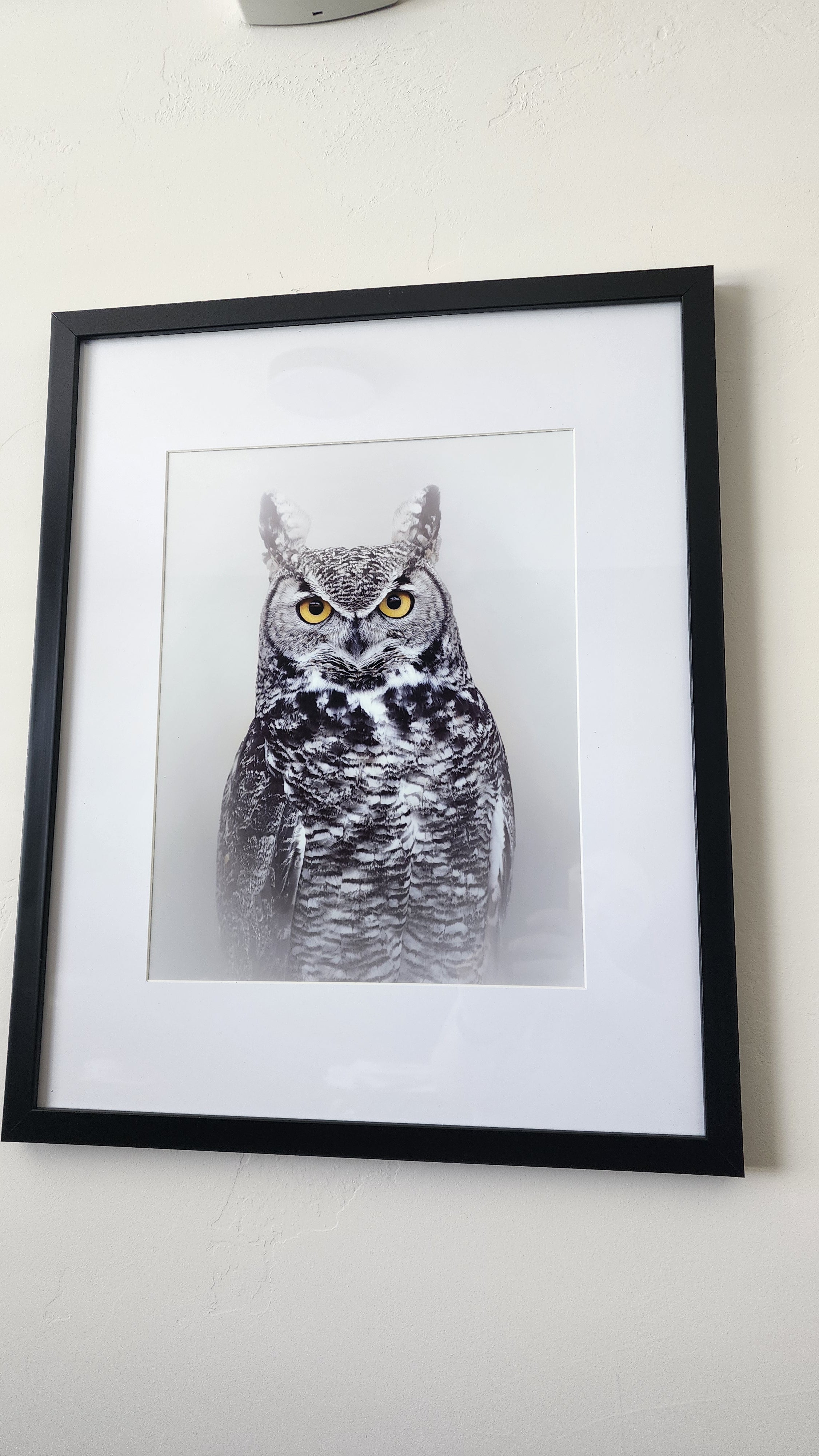 Great Horned Owl Print