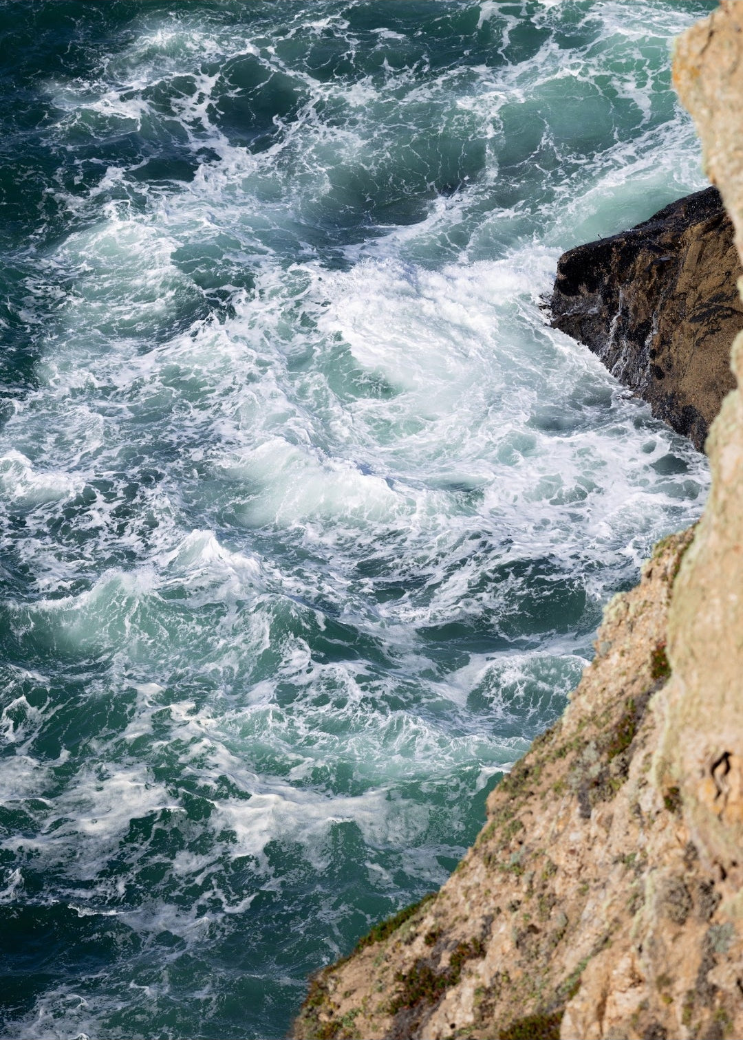 Point Reyes Coast Print