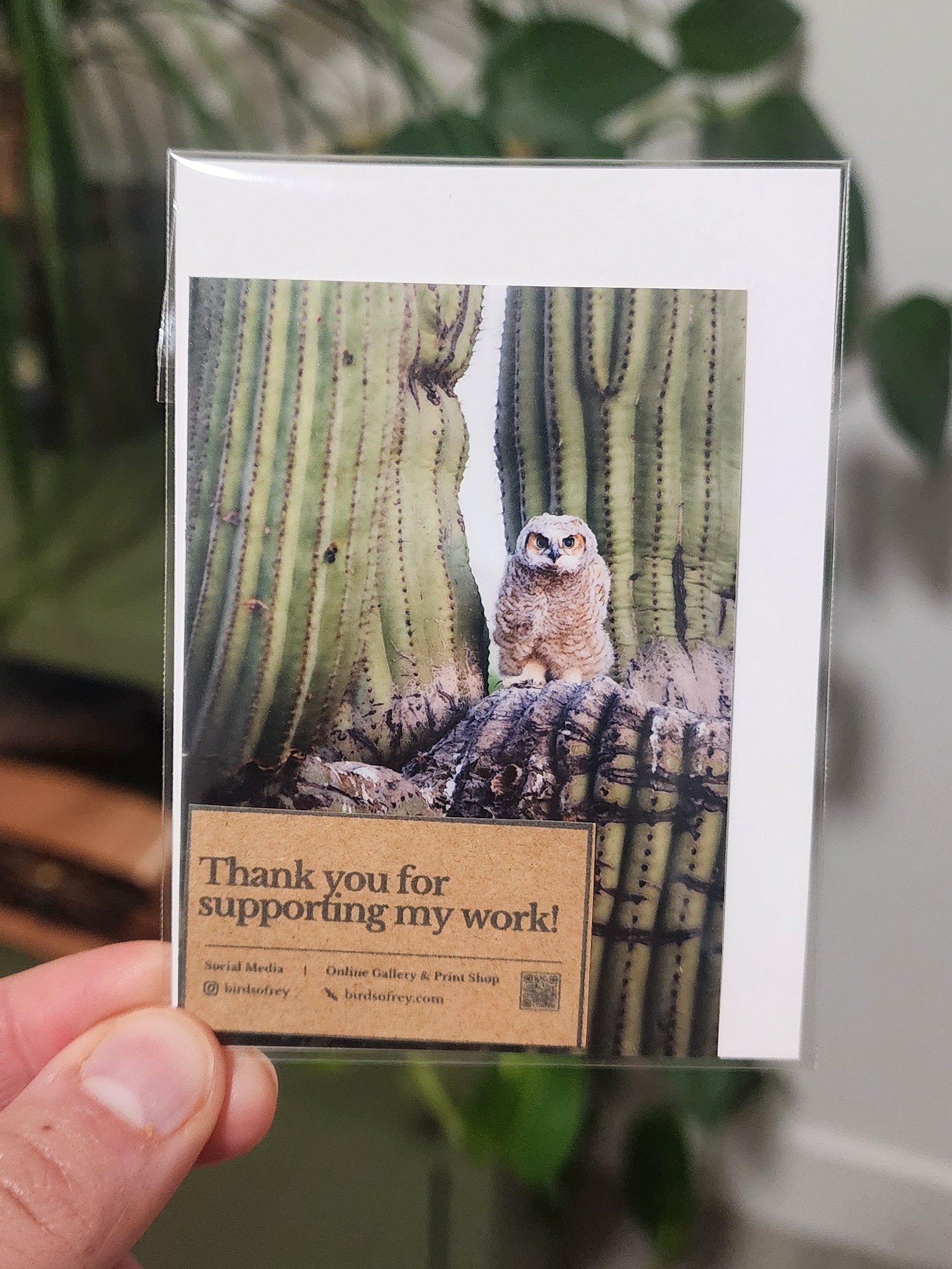 Great Horned Owl Mini Print