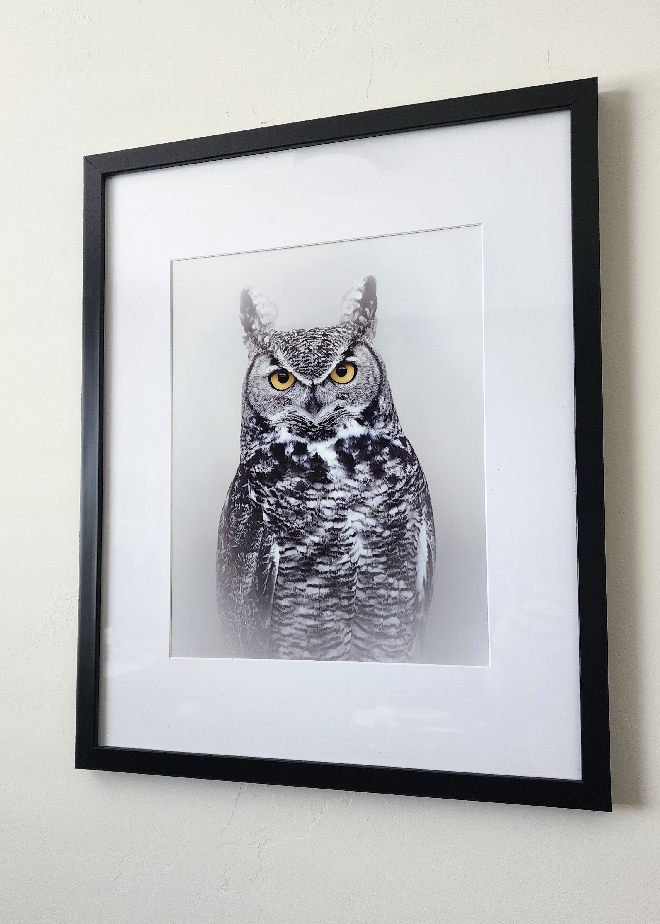 Great Horned Owl Print