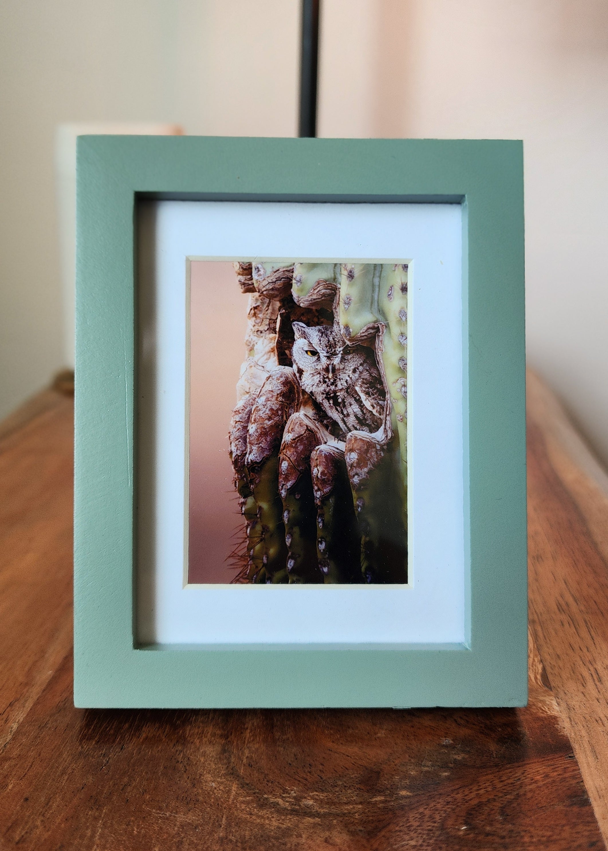"No Solicitors" Western Screech Owl Framed Mini Print