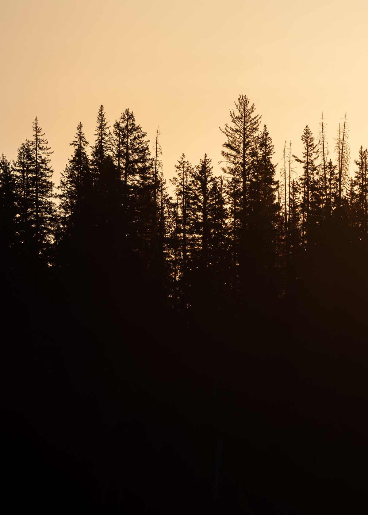 Yellowstone Sunrise Print