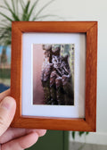 "No Solicitors" Western Screech Owl Framed Mini Print