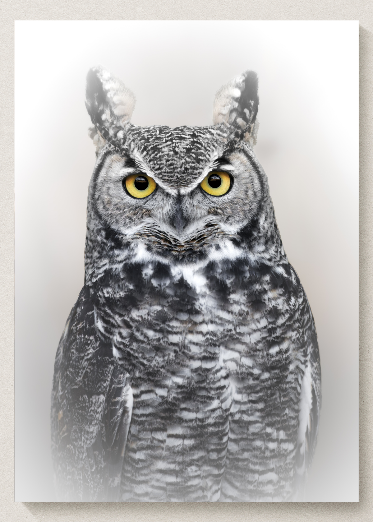 Great Horned Owl Print