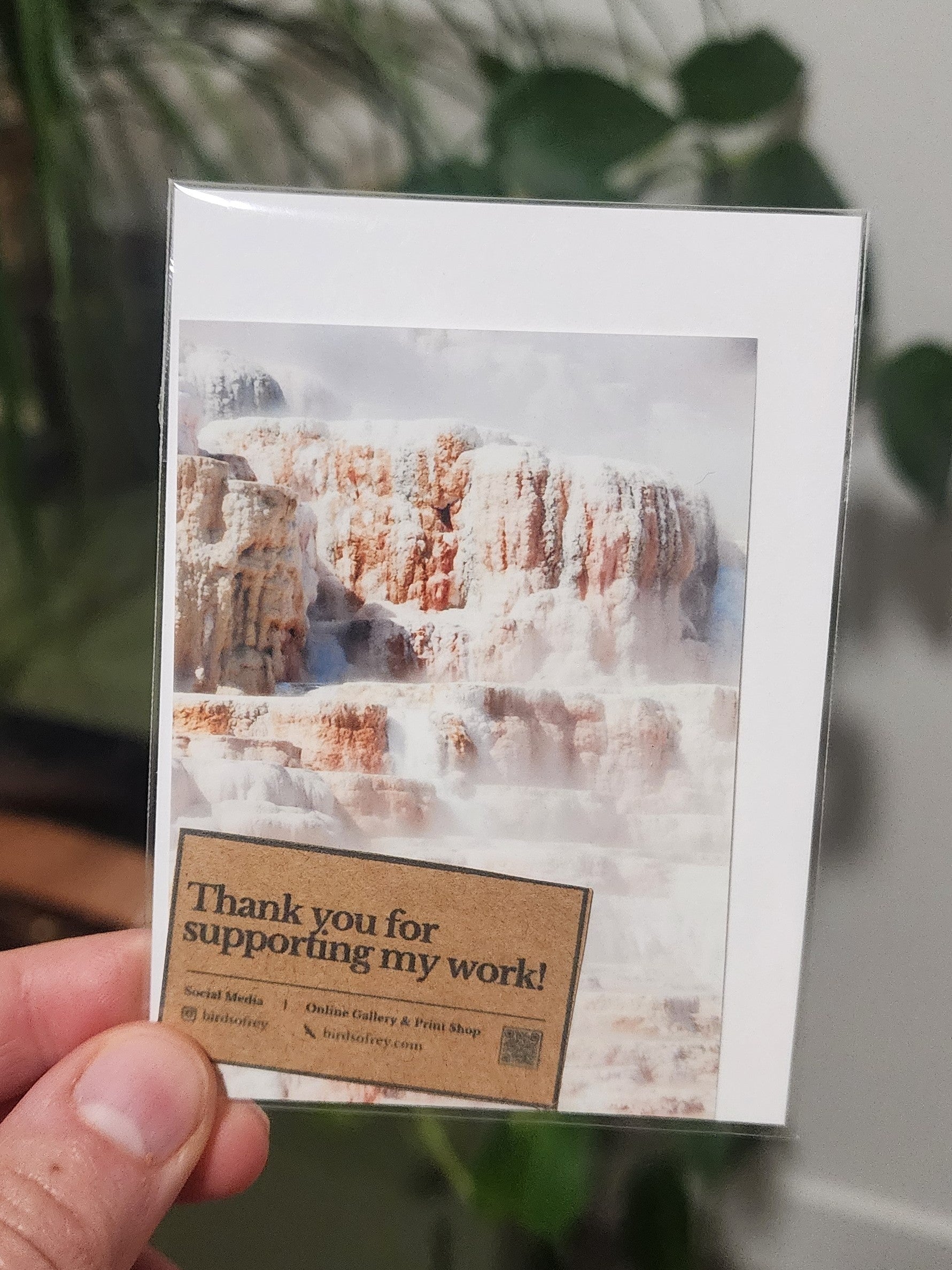 Mammoth Hot Springs Yellowstone Mini Print