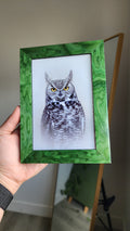 Great Horned Owl Framed Print
