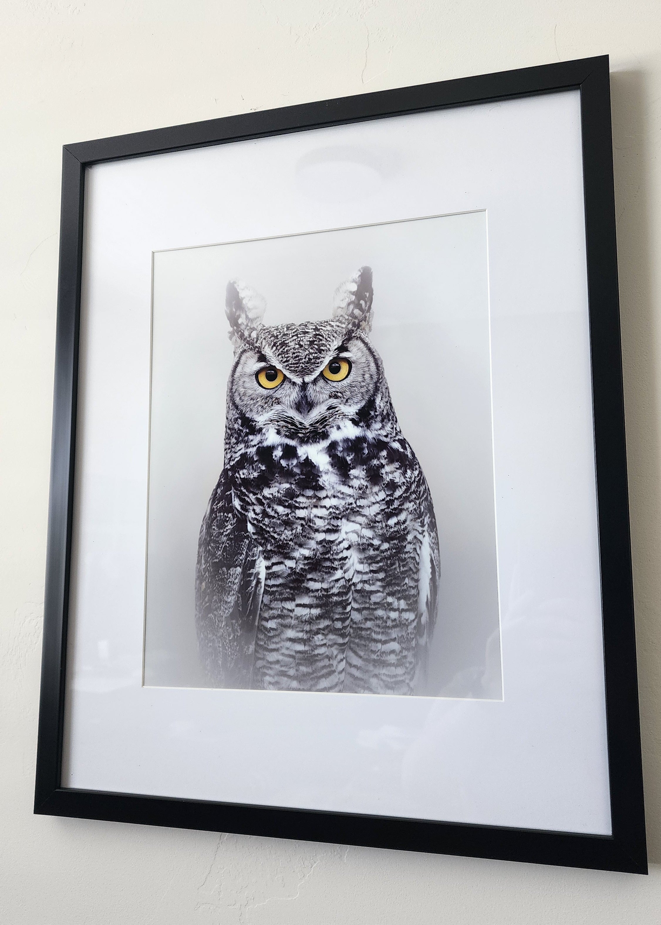 Great Horned Owl Print