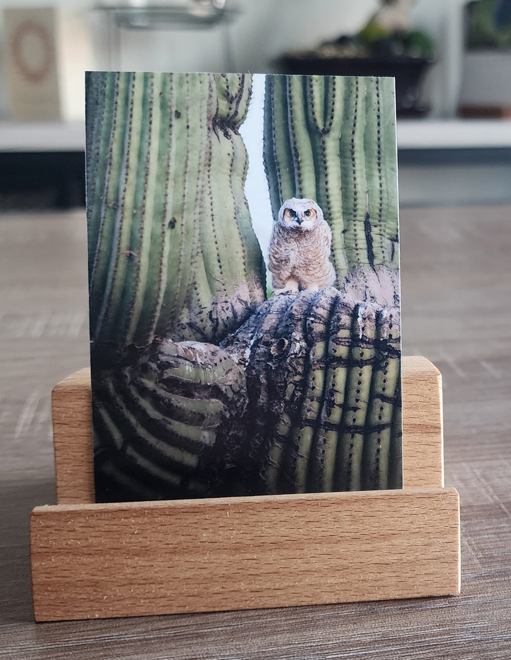 Great Horned Owl Mini Print